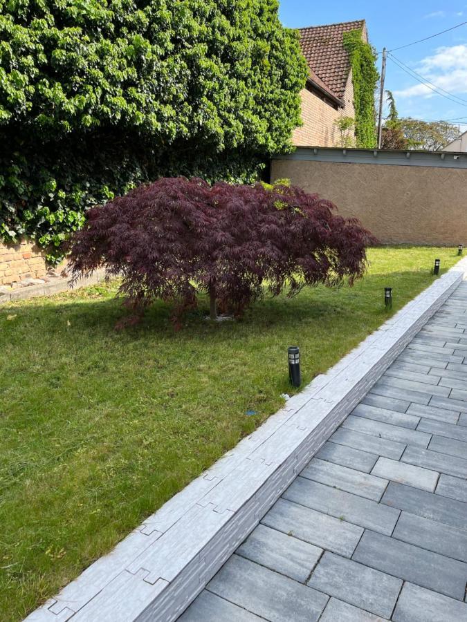 Logement De Charme - W&B House Dorlisheim Exterior photo
